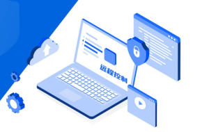 ToDesk远程控制工具