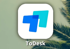 ToDesk远控客户端