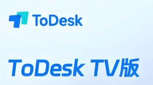 ToDesk远程桌面工具