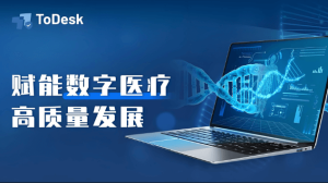 ToDesk远程访问解决方案