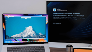 ToDesk远程协作平台